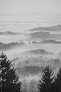 kollmitzberg-nebel-1