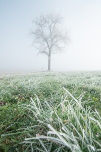 schiltdorf-frost-1